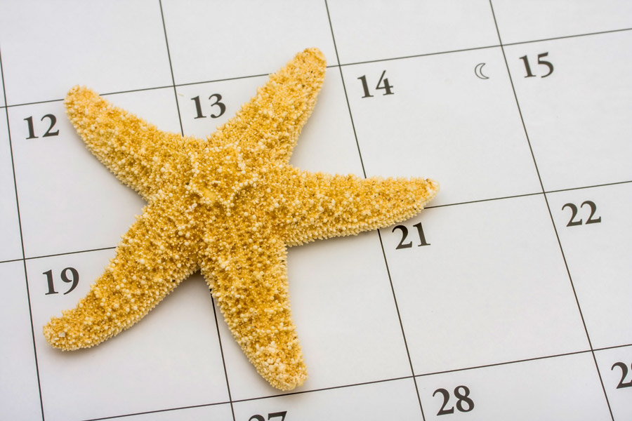 zeester-op-kalender