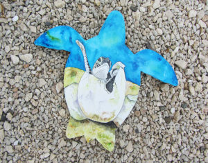 STCB turtle artwork fundraising