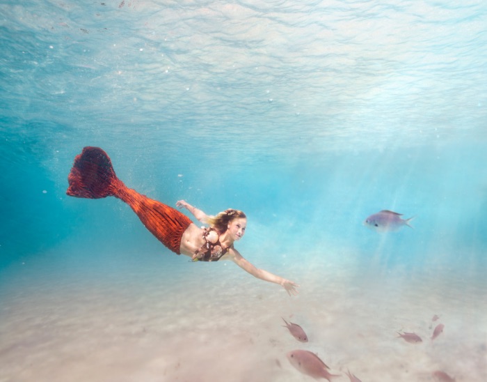 underwater photography Noustha